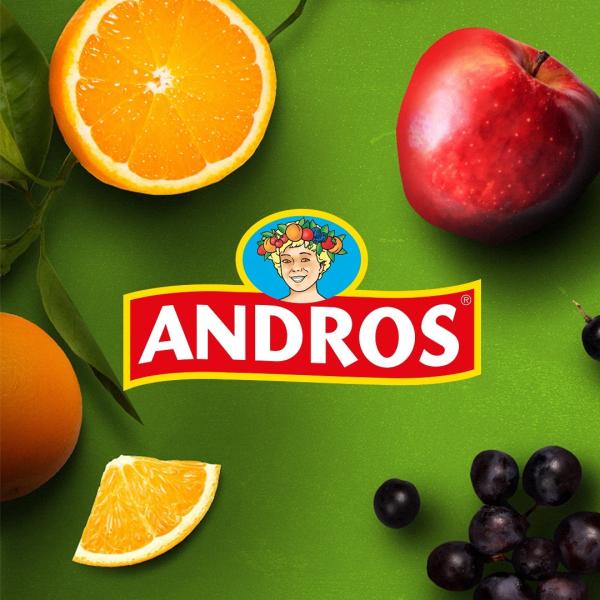 Andros logo